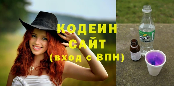 хмурый Алексин