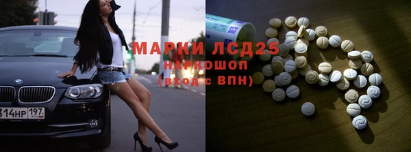 хмурый Алексин