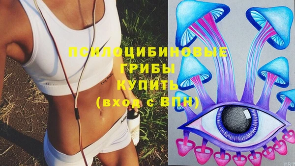 бошки Алексеевка