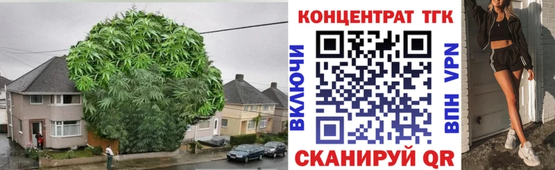 ТГК гашишное масло  Алзамай 